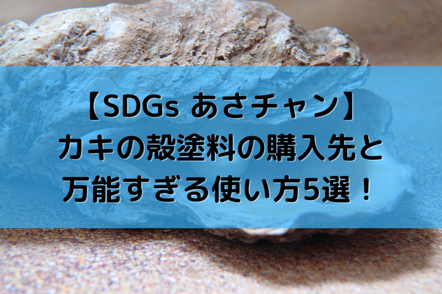【SDGs あさチャン】カキの殻塗料の購入先と万能すぎる使い方5選！
