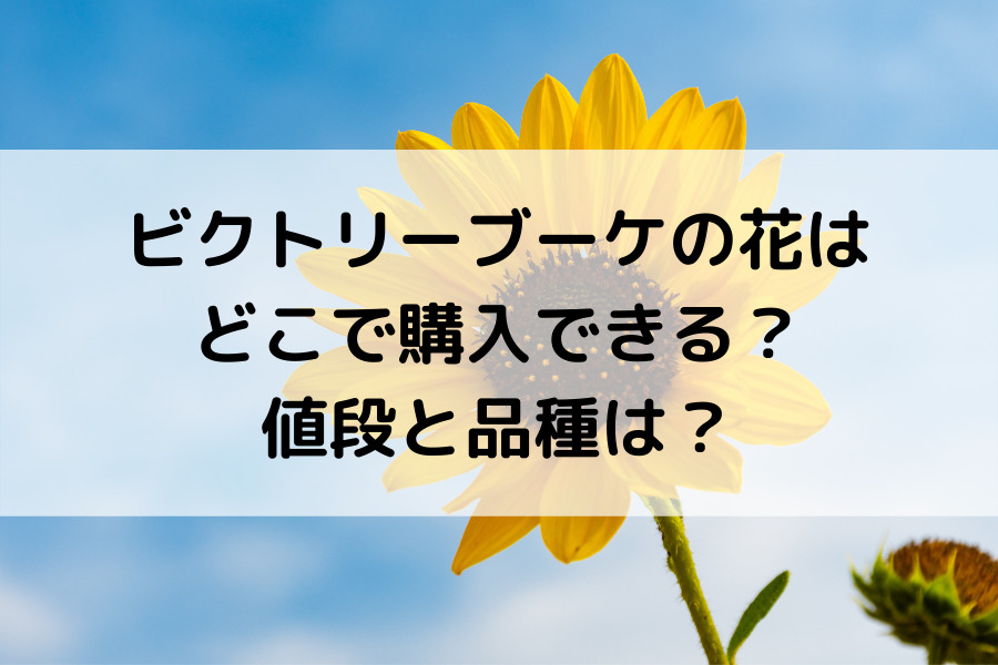 ビクトリーブーケの花はどこで購入できる 値段と品種は 知的好奇心の備忘録